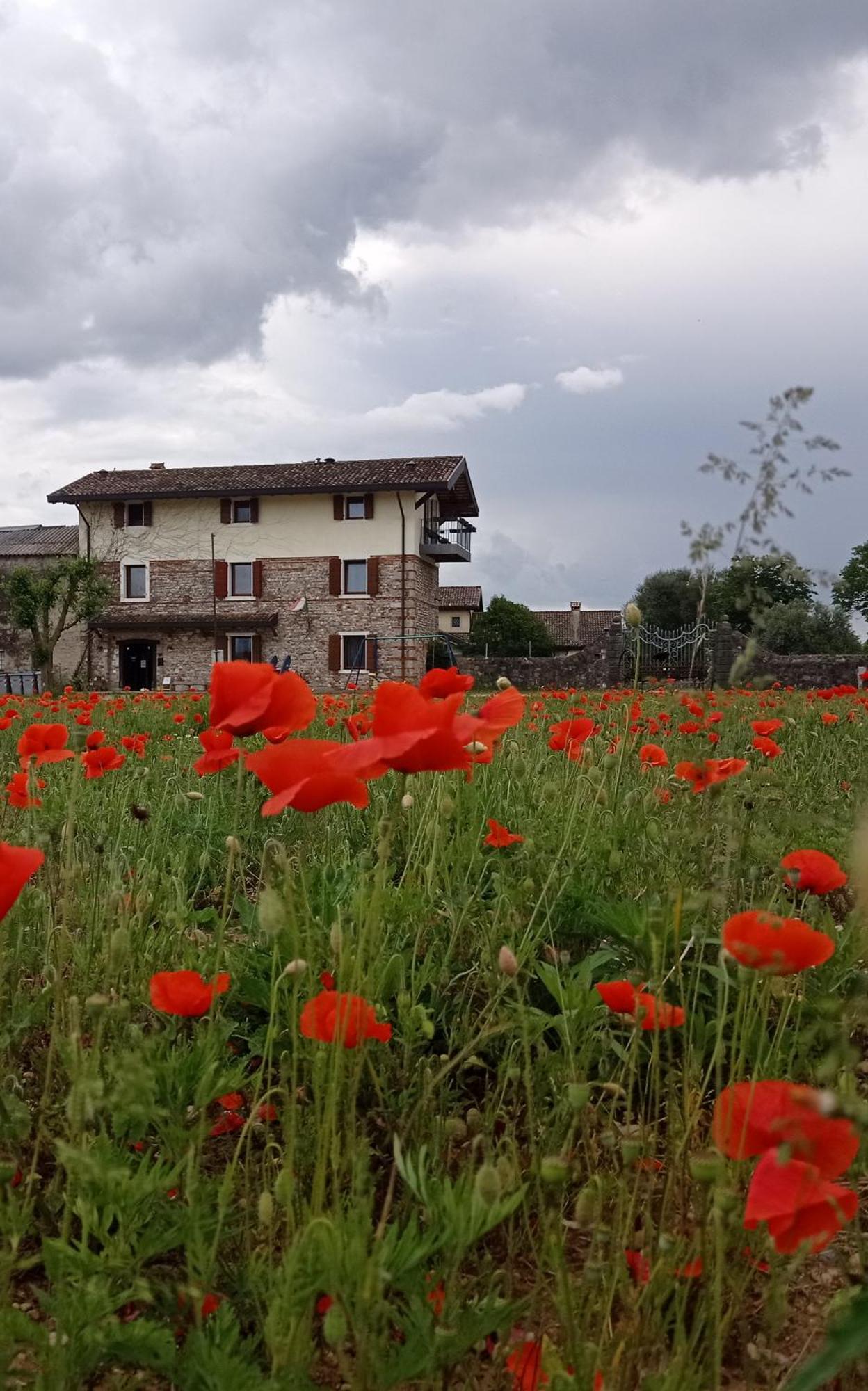 Casal Micelio Villa Udine Exterior photo